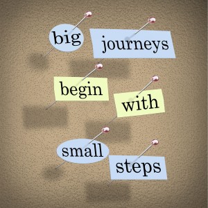 Big Journey Small Steps